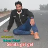 About Senda gel gel Song